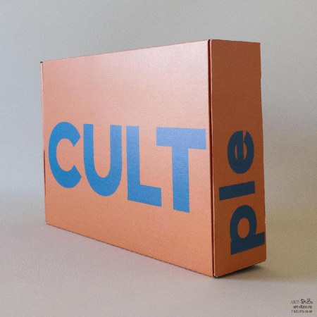  Фотография коробка самосборная «самолёт» 35×24×8 см с печатью