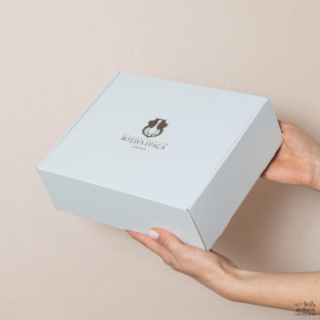 Брендированные самосборные короба под ключ от производителя Заказать коробку с ушками из гофрированного картона с принтом