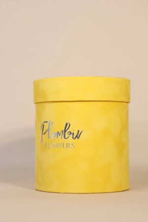  Фотография коробка круглая бархатная в желтом цвете