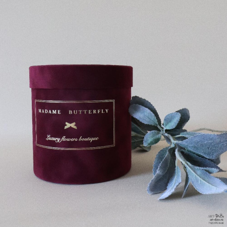  Фотография коробки 15×16 см в бархате