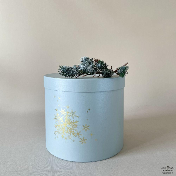 Коробка Metallic с серебряной или золотой снежинкой  Фотография коробка metallic с серебряной или золотой снежинкой