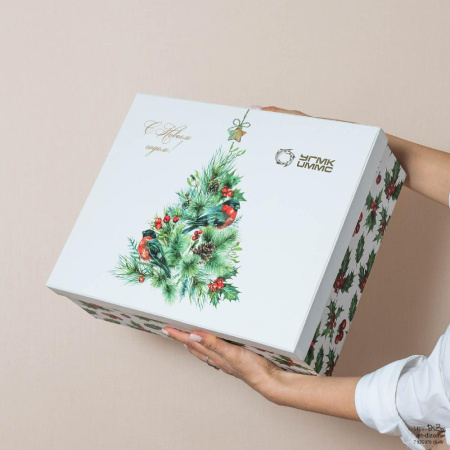  Фотография двухъярусная коробка 38×30×12 см для подарка