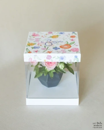  Фотография белая коробка с окошком