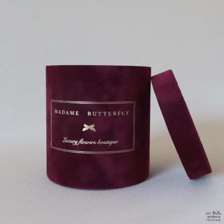  Фотография коробки 15×16 см в бархате