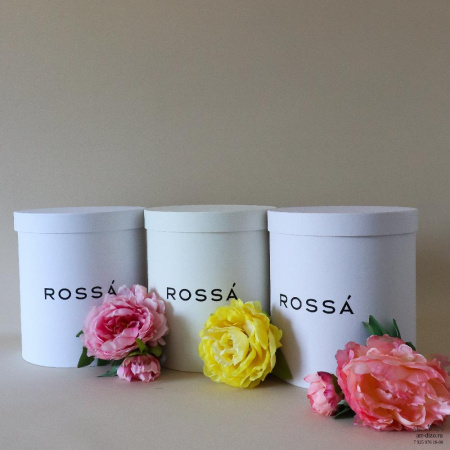  Фотография круглые коробки 22×25 см и 30×25 см с чёрным логотипом