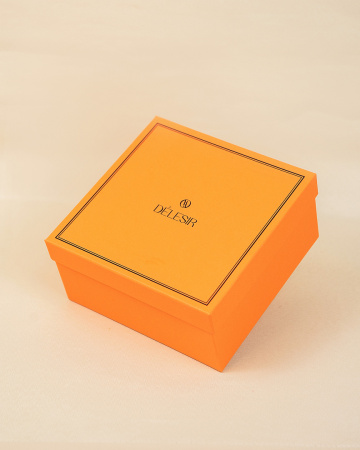  Фотография коробка крышка дно для  бренда delesir