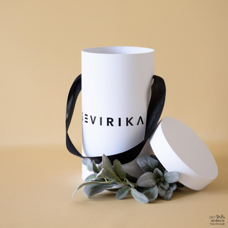  Фотография круглая коробка 17×30 см с ручкой