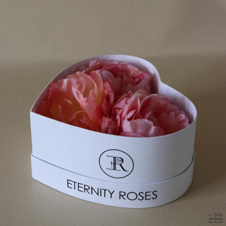  Фотография сердце mini с лого на бортах дна и крышки