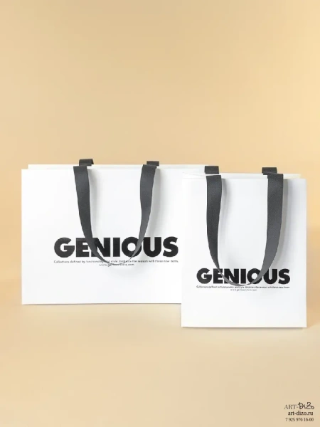  Фотография подарочная упаковка с ручками genious