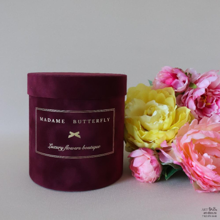  Фотография коробки 15×16 см в бархате