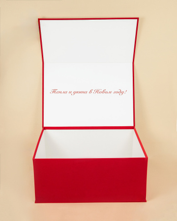  Фотография коробка книга на магнитах для гк "руссинтеграл"  