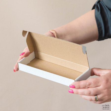  Фотография миниатюрная самосборная коробка 20×8×3 см без лого