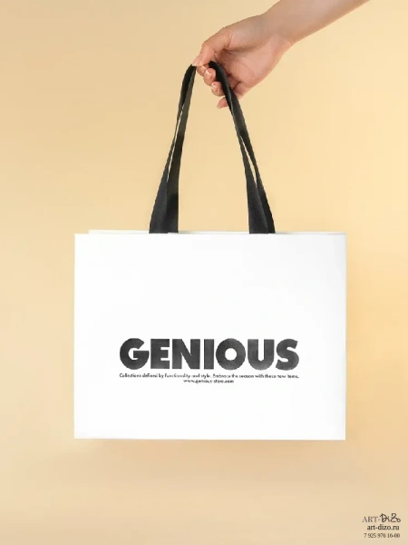  Фотография подарочная упаковка с ручками genious